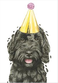 Cockapoo in Party Hat Birthday Card