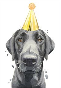 Black Lab in Party Hat Birthday Card
