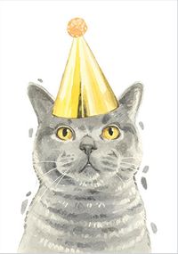 Tap to view Cat in Party Hat Birthday Card
