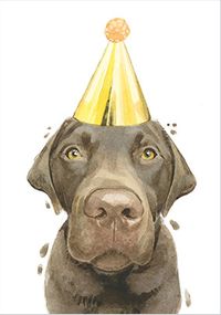 Tap to view Chocolate Lab in Party Hat Birthday Card