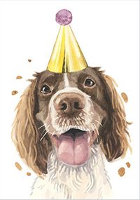 Spaniel in Party Hat Birthday Card