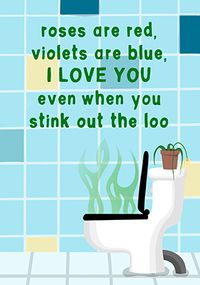 Even When You Stink out the Loo Card