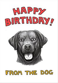 Black Labrador Birthday Card