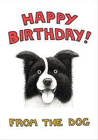 Sheep Dog Birthday Card