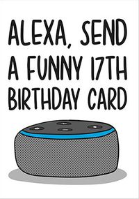 Send A Funny 17th Birthday Card