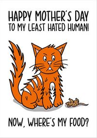Tap to view Least Hated Human Mothers Day Card