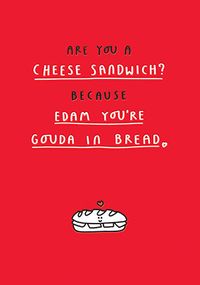 Tap to view Are you a Cheese Valentine's Day Card