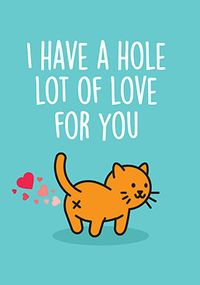 Hole Lot of Love