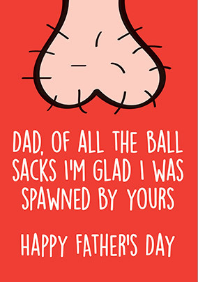 Of All the Ball Sacks Father's Day Card - A6 - By Funky Pigeon