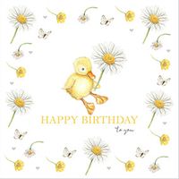 Daisies For You Birthday Card