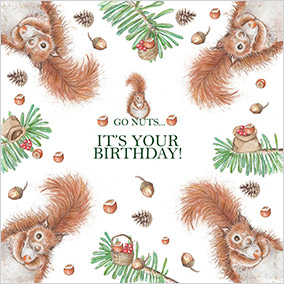 Go Nuts It's Your Birthday Card - Square - By Funky Pigeon