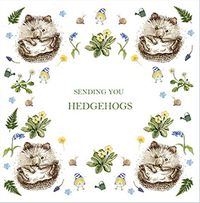 Sending Hedgehogs Get Well Card