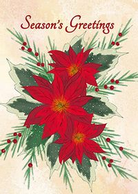 Tap to view Season's Greetings Poinsettia Christmas Card