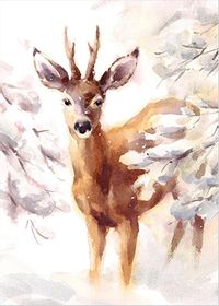 Traditional Deer Christmas Card