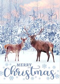 Tap to view Reindeer Snow Scene Christmas Card