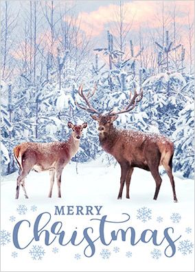 Reindeer Snow Scene Christmas Card