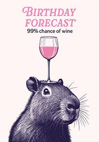 Tap to view 99% Chance Of Wine Birthday Card