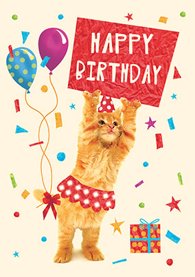 Happy Birthday Kitten Card Funky Pigeon
