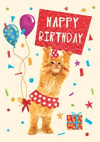 Tap to view Happy Birthday Kitten Card