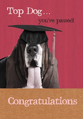 Congratulations You've Passed - Top Dog Card