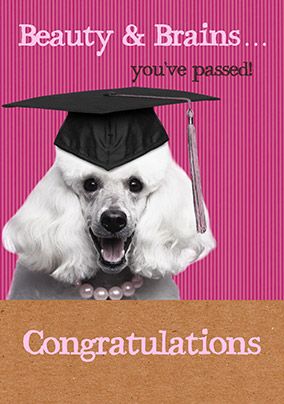 Congratulations You've Passed - Beauty & Brains Card