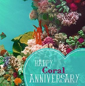 Wedding Anniversary Card - Coral 35