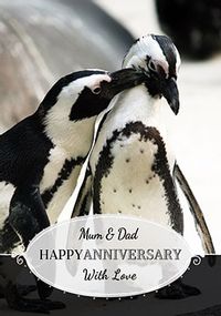 Mum & Dad Penguin Anniversary Card
