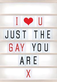 Love You Just the Gay You Are Valentine's Card