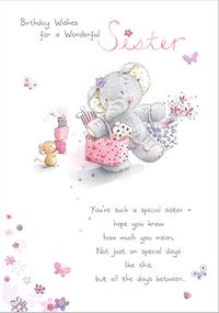 Elephant Birthday Wishes Sister Birthday Card