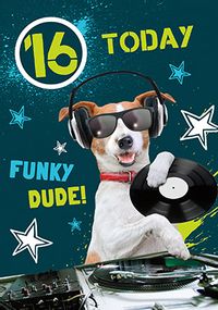 16th Birthday Card - Nuts Mutts