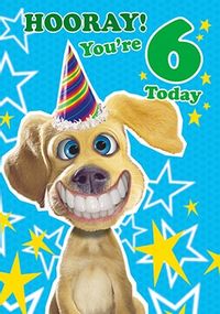 6th Birthday Card - Dog's Whiskers