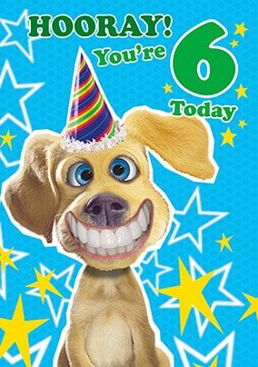 6th Birthday Card - Dog's Whiskers | Funky Pigeon