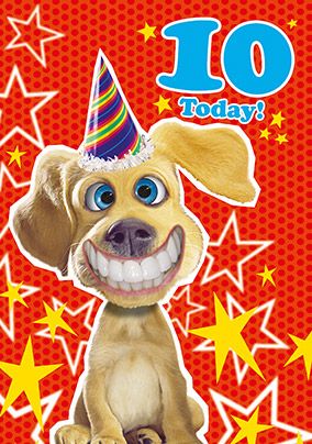10th Birthday Card - Dog's Whiskers