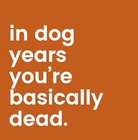 Basically Dead In Dog Years Birthday Card