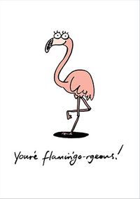 Tap to view You're Flamingo-rgeous Valentine Card