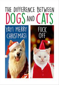 Difference Between Dogs and Cats Funny Christmas Card