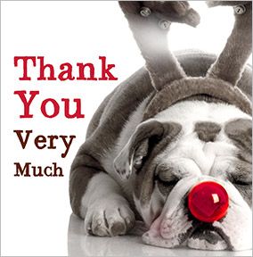 Dog dressed as Rudolph Thank You Card