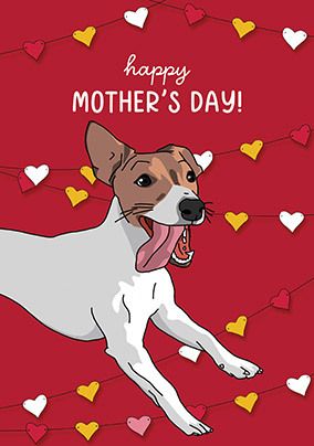 Jack Russell Mother's Day Cards