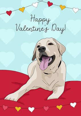 Valentine's Day Labrador Card
