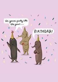 Three dogs Birthday Card
