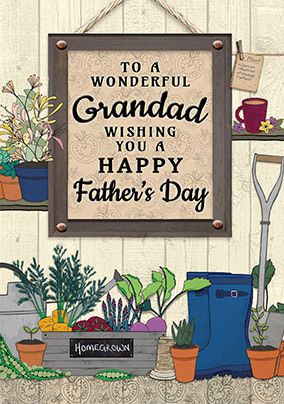 To a Wonderful Grandad on Father's Day Card