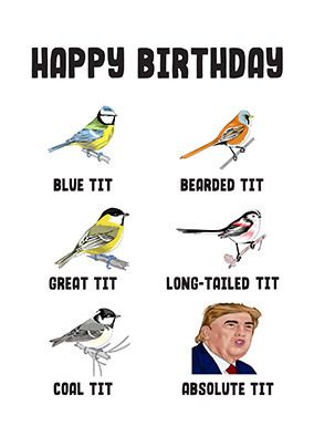 Happy Birthday Absolute Tit