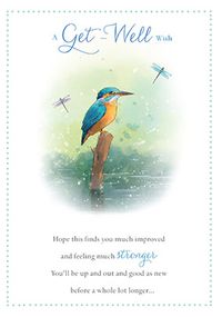 Kingfisher Get Well Soon Card