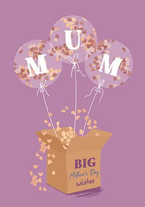 Big Mother's Day Wishes Card