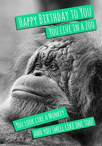 You Look like a Monkey Birthday Card