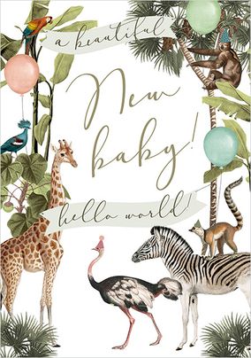 Zebras Baby Girl Announcement Card