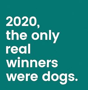 2020 the Real Winners Were Dogs Card