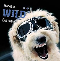 Tap to view Have A Wild Birthday Card