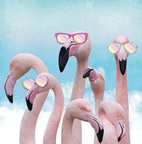 Flamingo Sunglasses Birthday Card