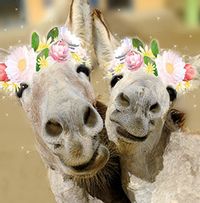Tap to view Donkeys Birthday Card